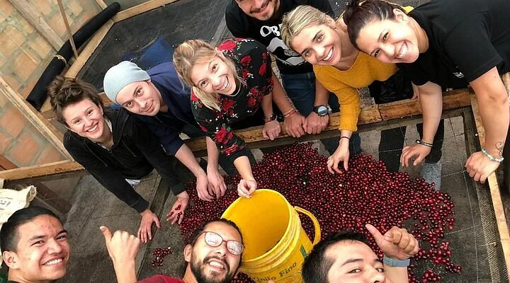 BBC Bodega Av Quinta