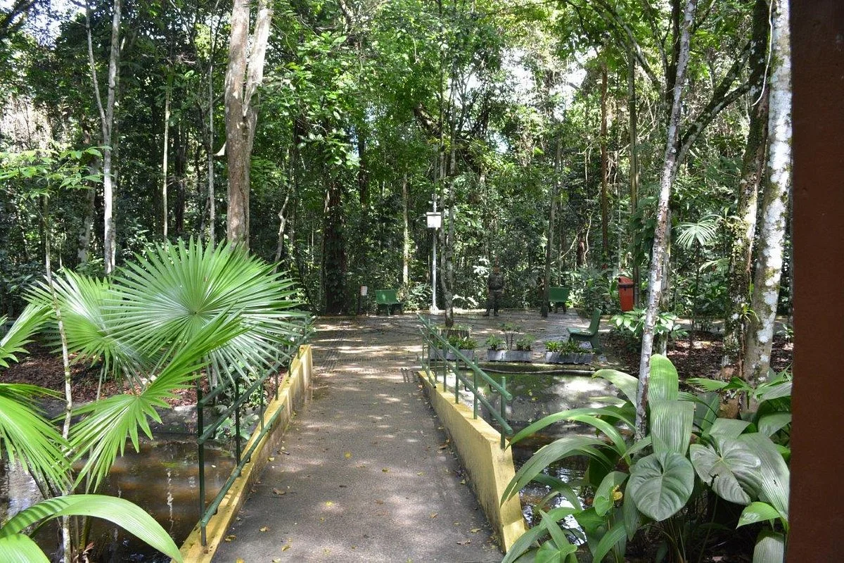 Jardim Botânico do Recife