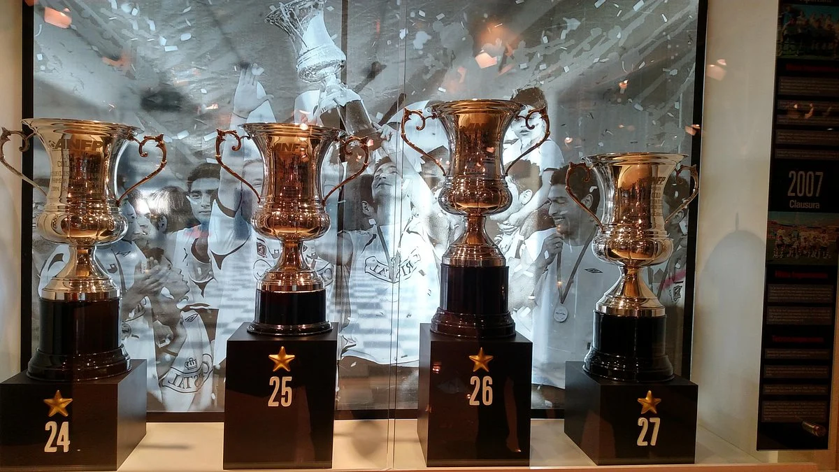 Museo de Colo Colo