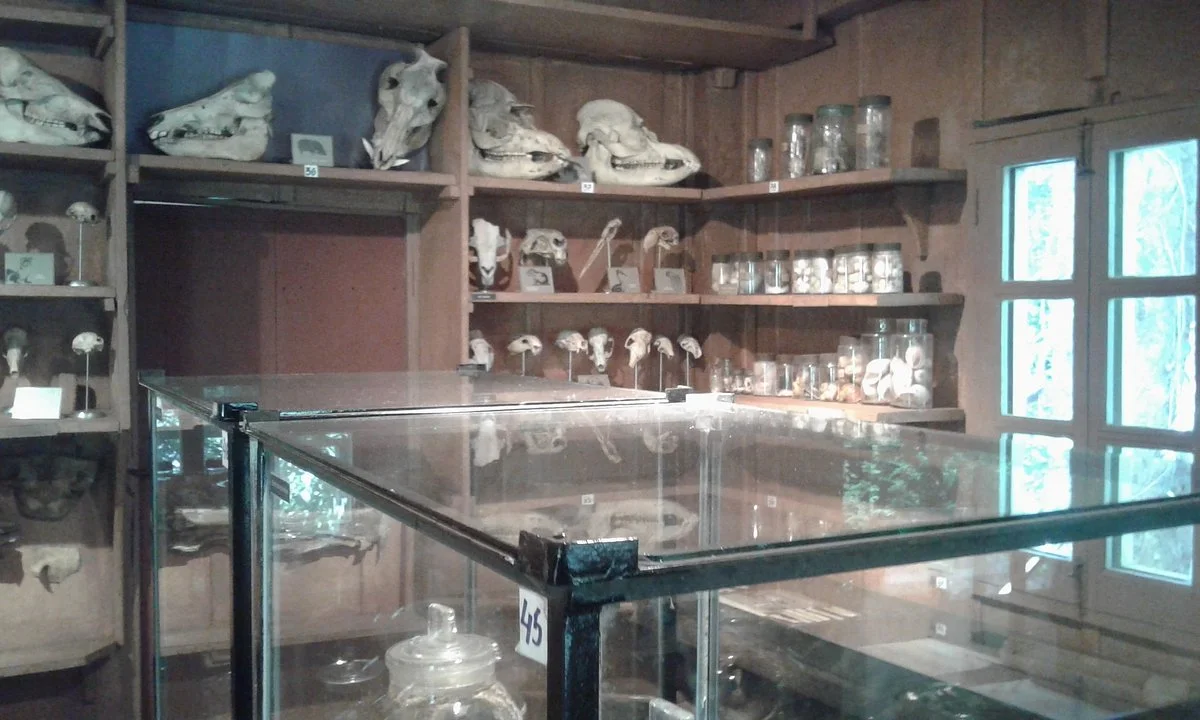 Monumento Cientifico Moises Bertoni