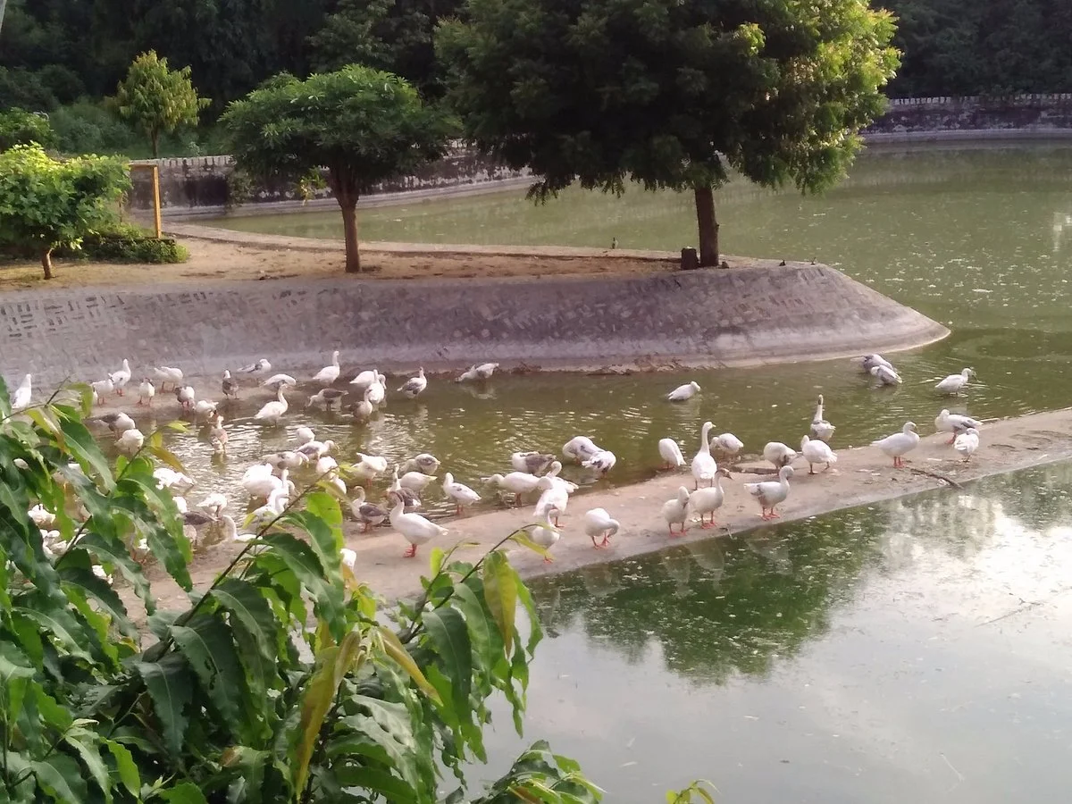 Deer Park, Ashok Vihar, Jaipur