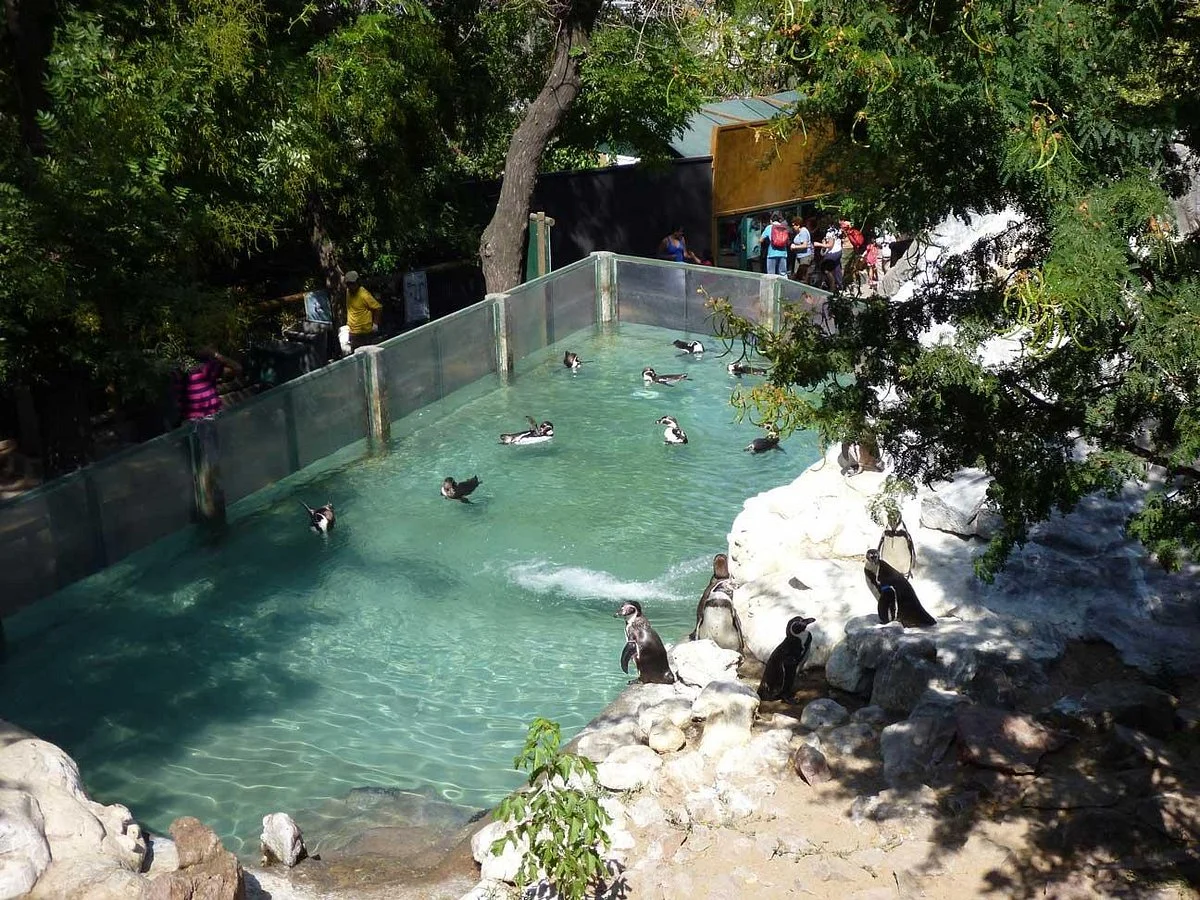 Zoológico Nacional de Chile