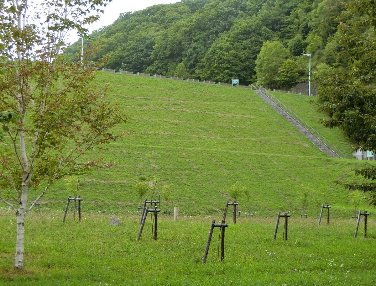 Lake Eniwa Jiyu Hiroba