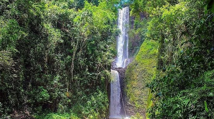 Bosque Maria Thereza