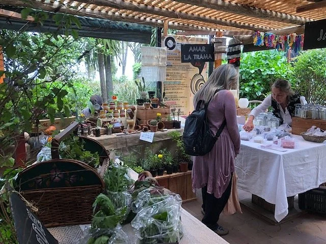 Punta Ballena Market
