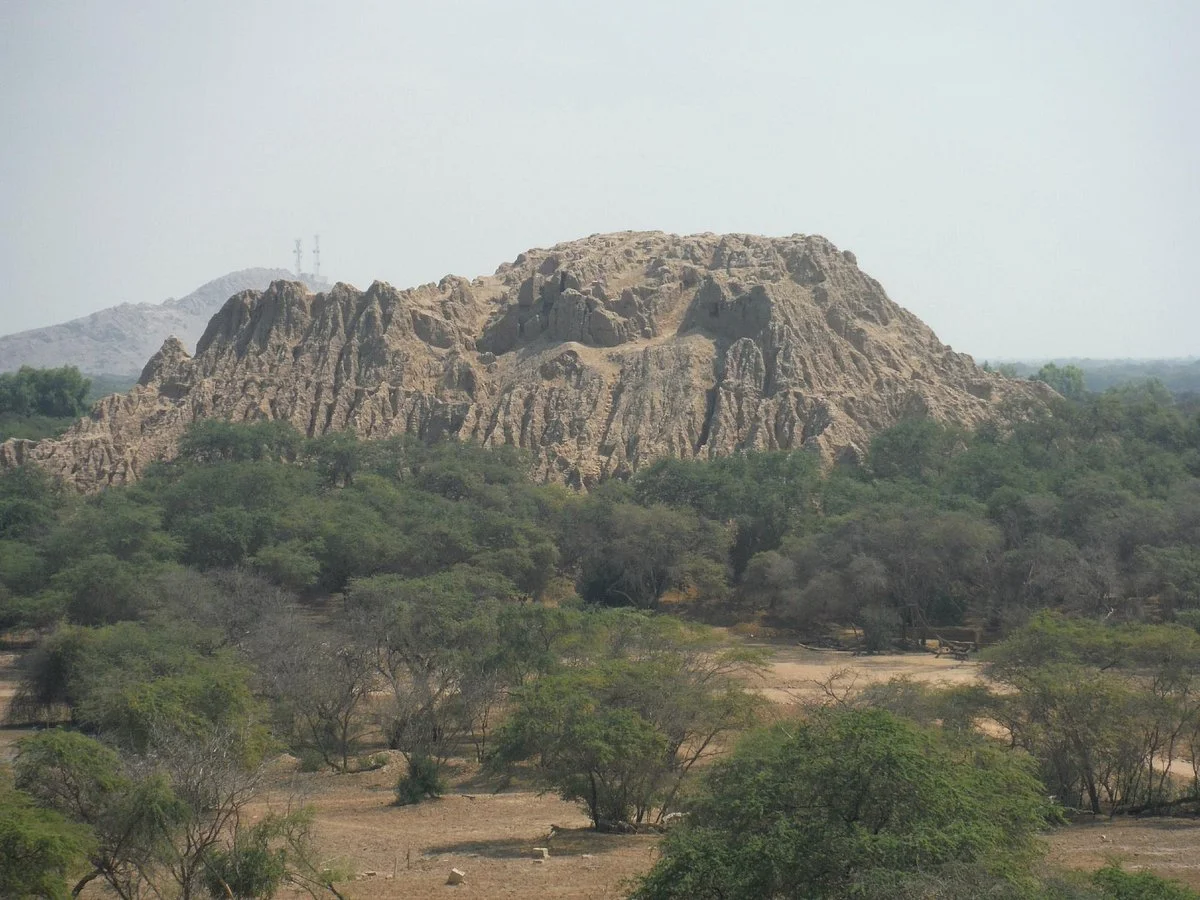Santuario Histórico Bosque de Pómac
