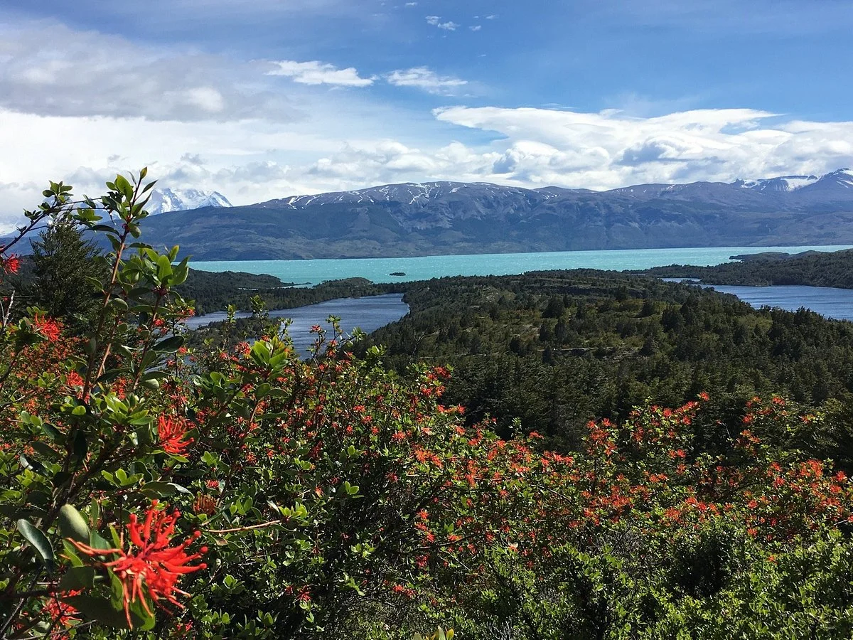 Lago Del Toro