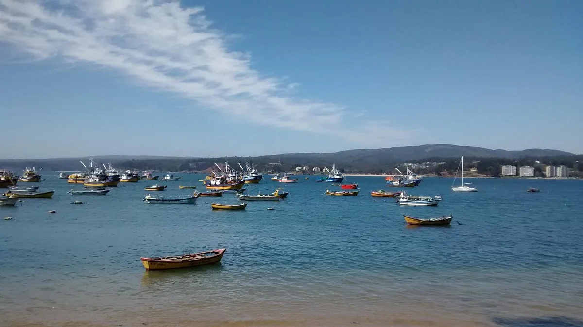 Playa de Coliumo