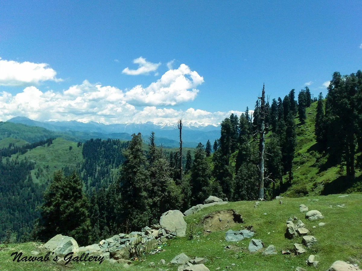 Toli Pir
