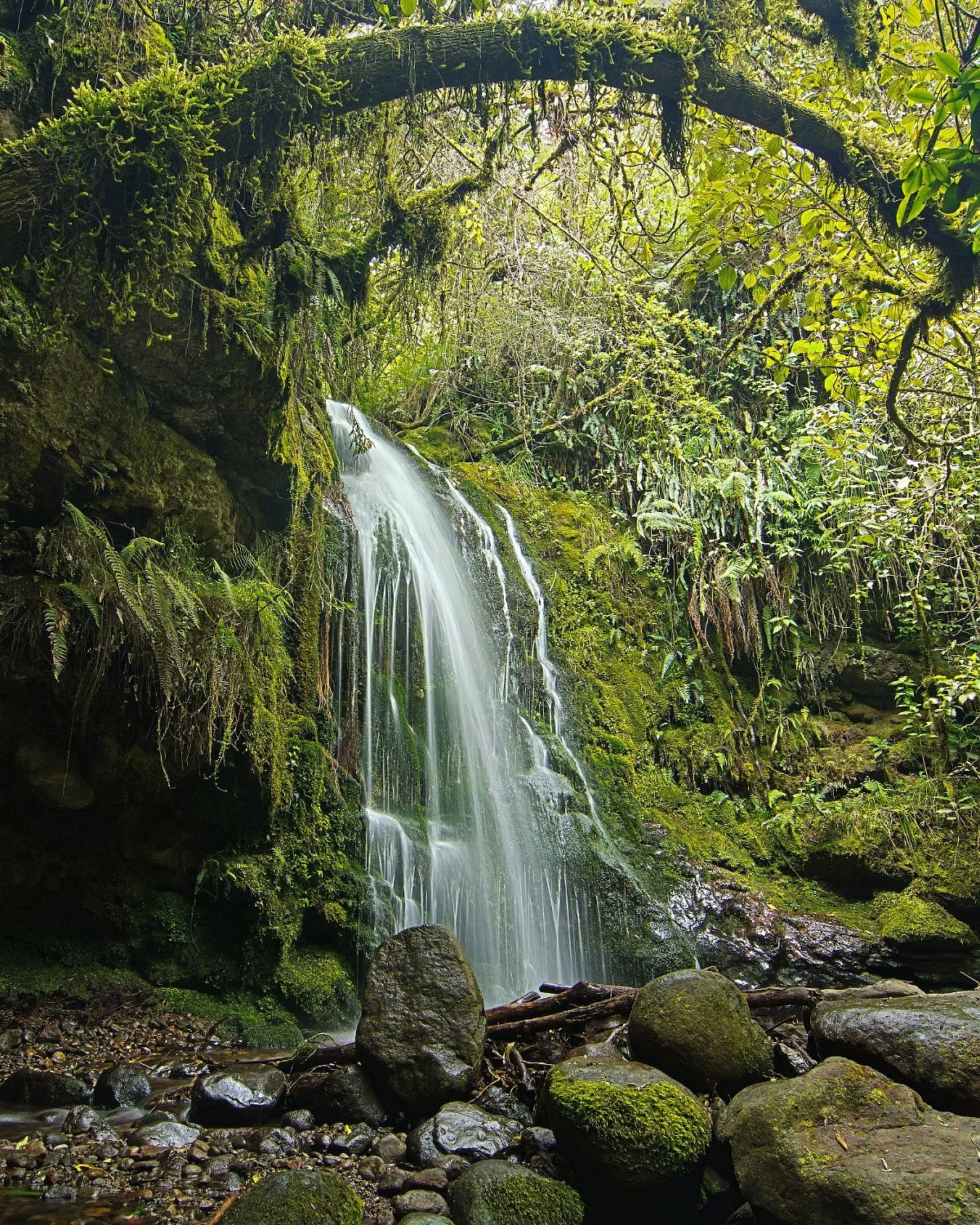 Waterfall of Cariacu