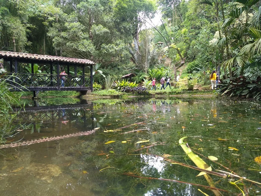 Jardin Botanico Los Balsos
