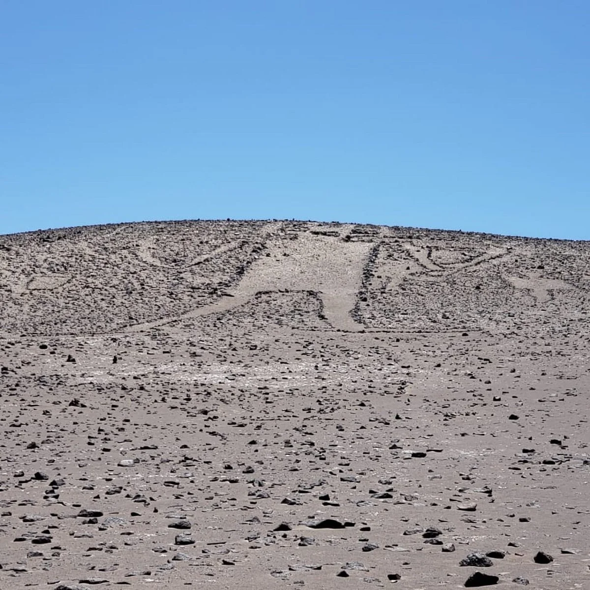 Gigante de Tarapaca