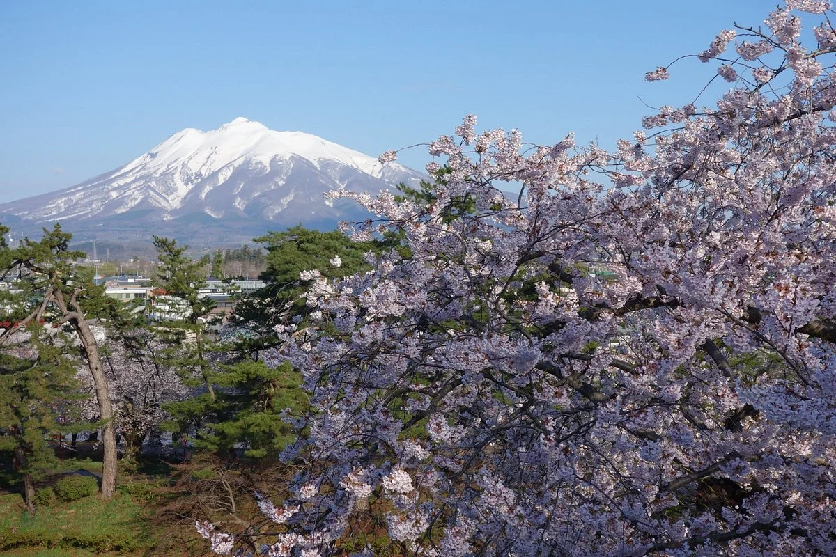 Mt. Iwaki