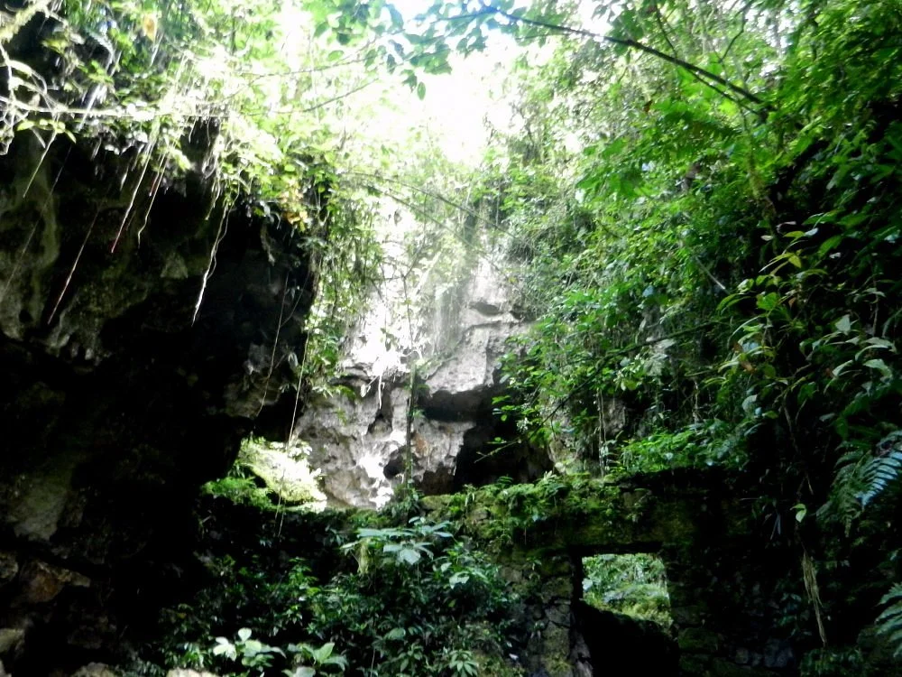 Cueva de Palestina