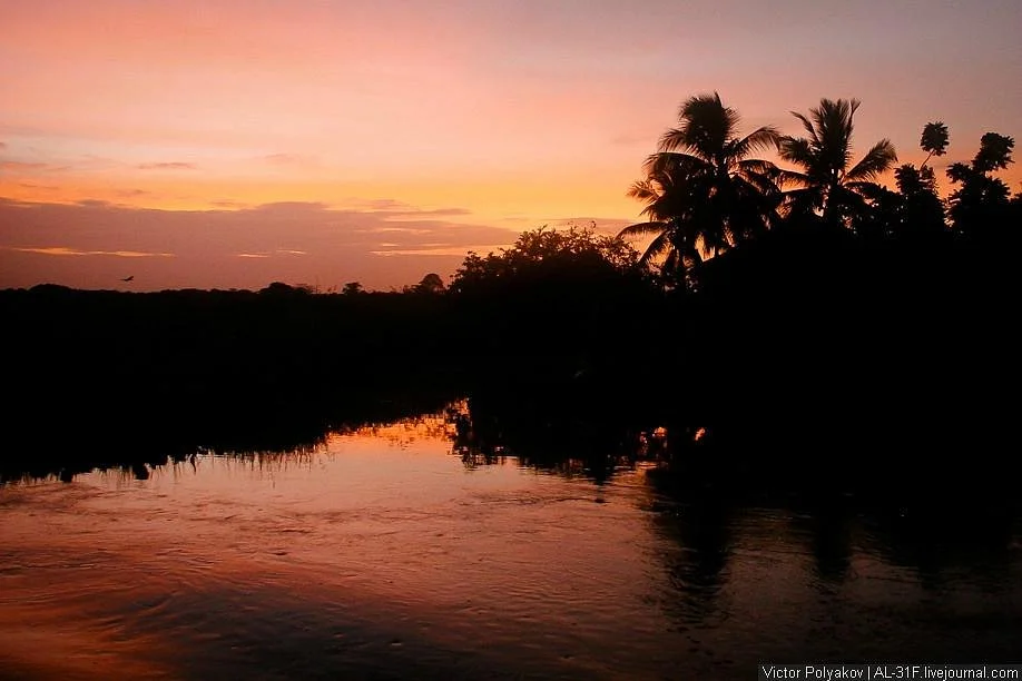 Orinoco River