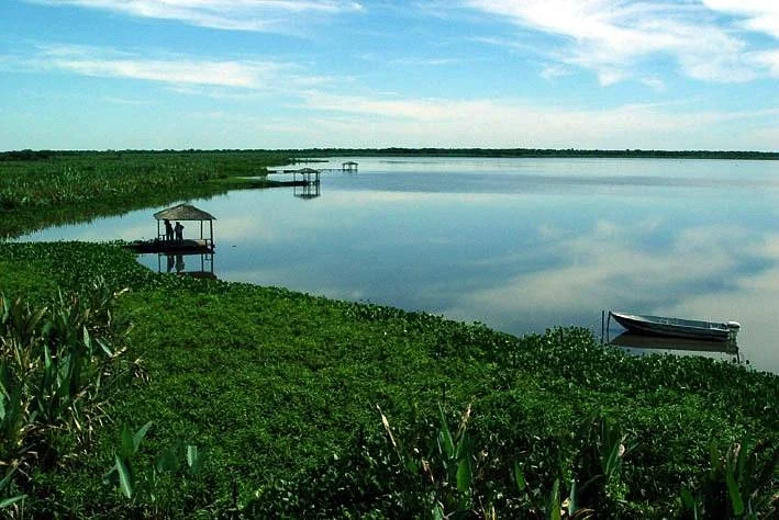 Parque Nacional Río Pilcomayo