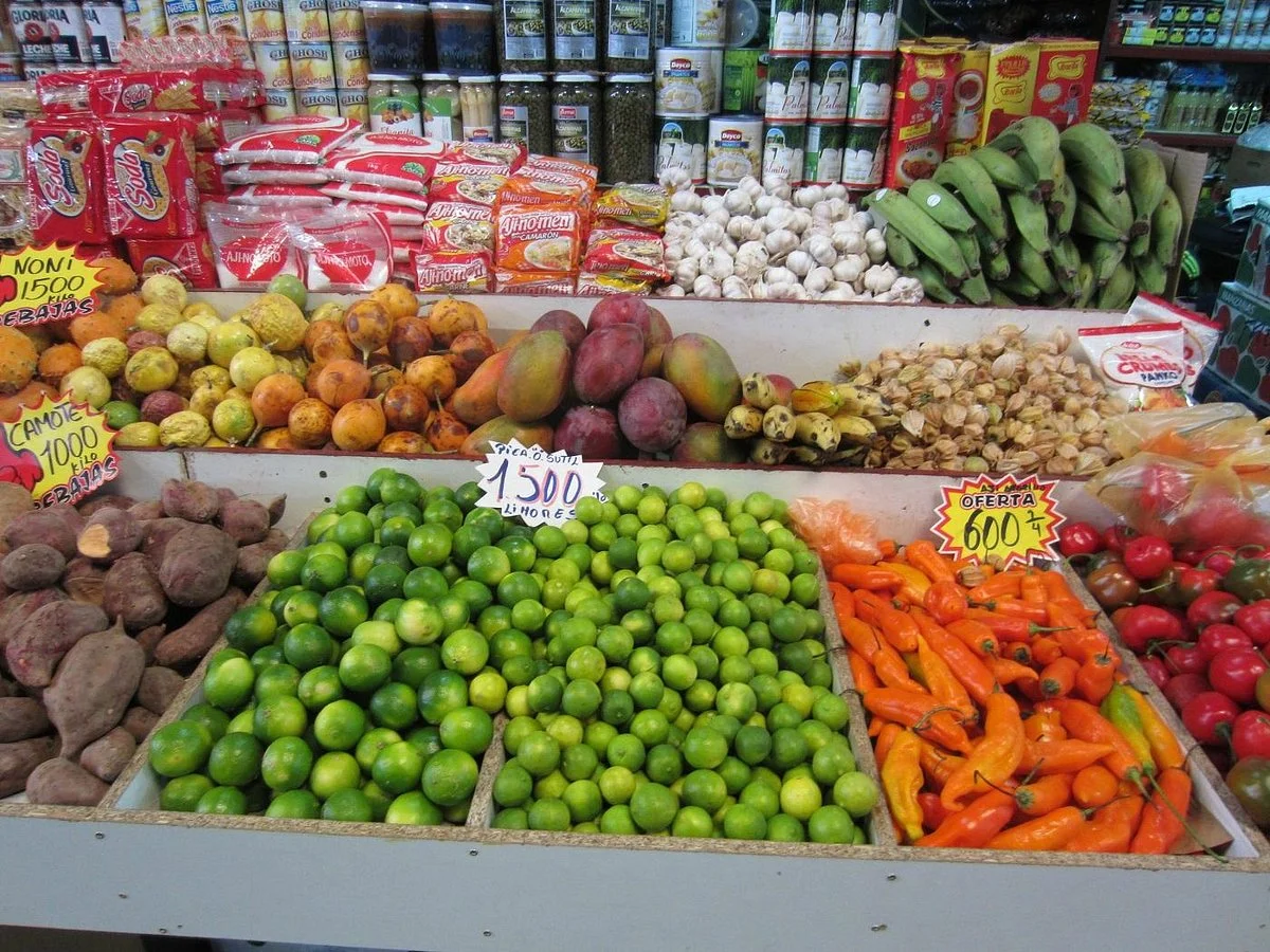 La Vega Central