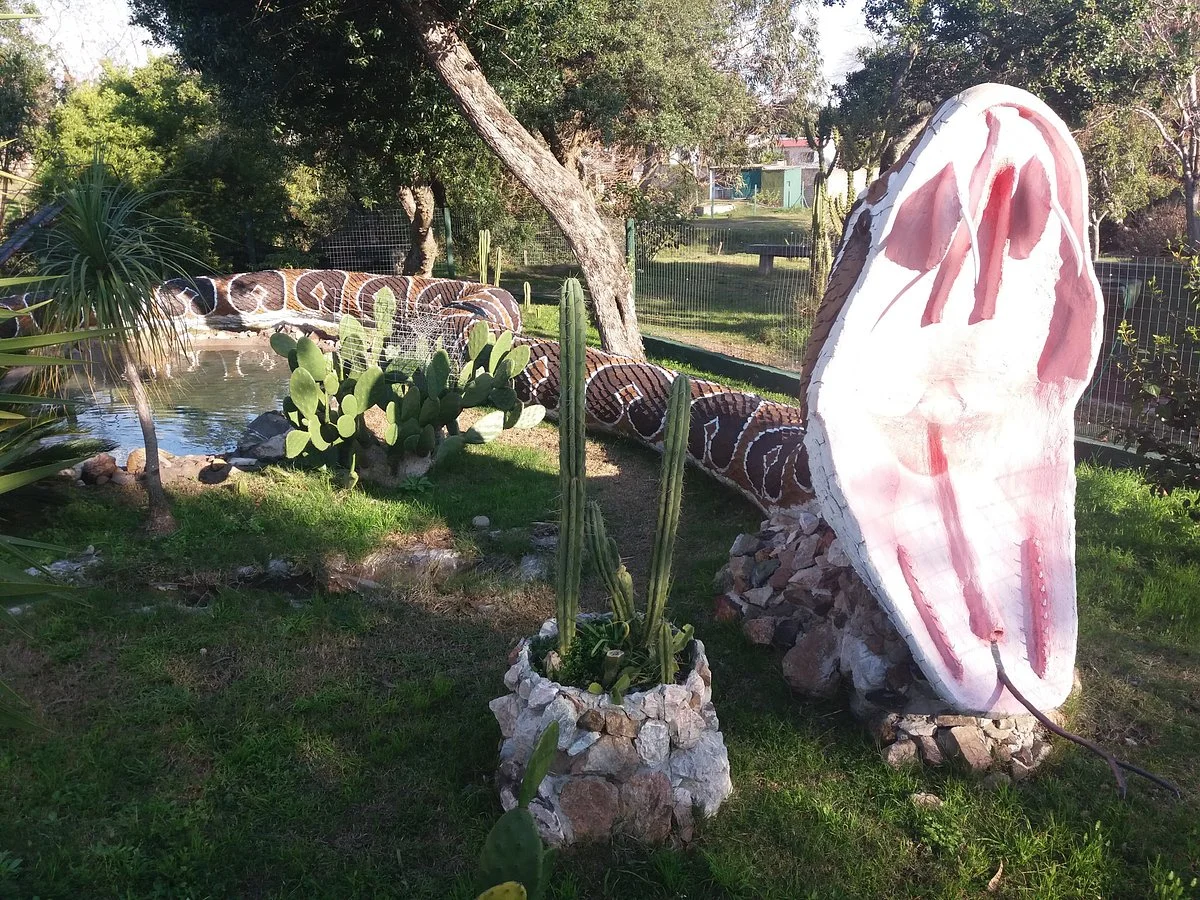 Alternatus Uruguay Criadero De Reptiles