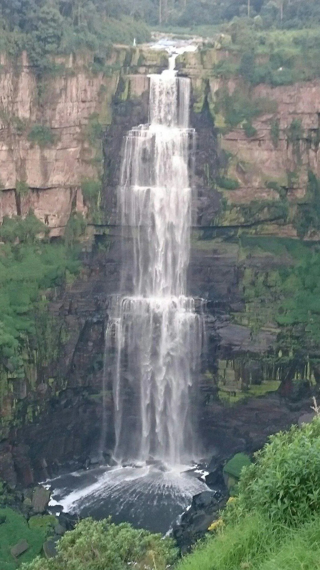 Zoologico de Santa Cruz