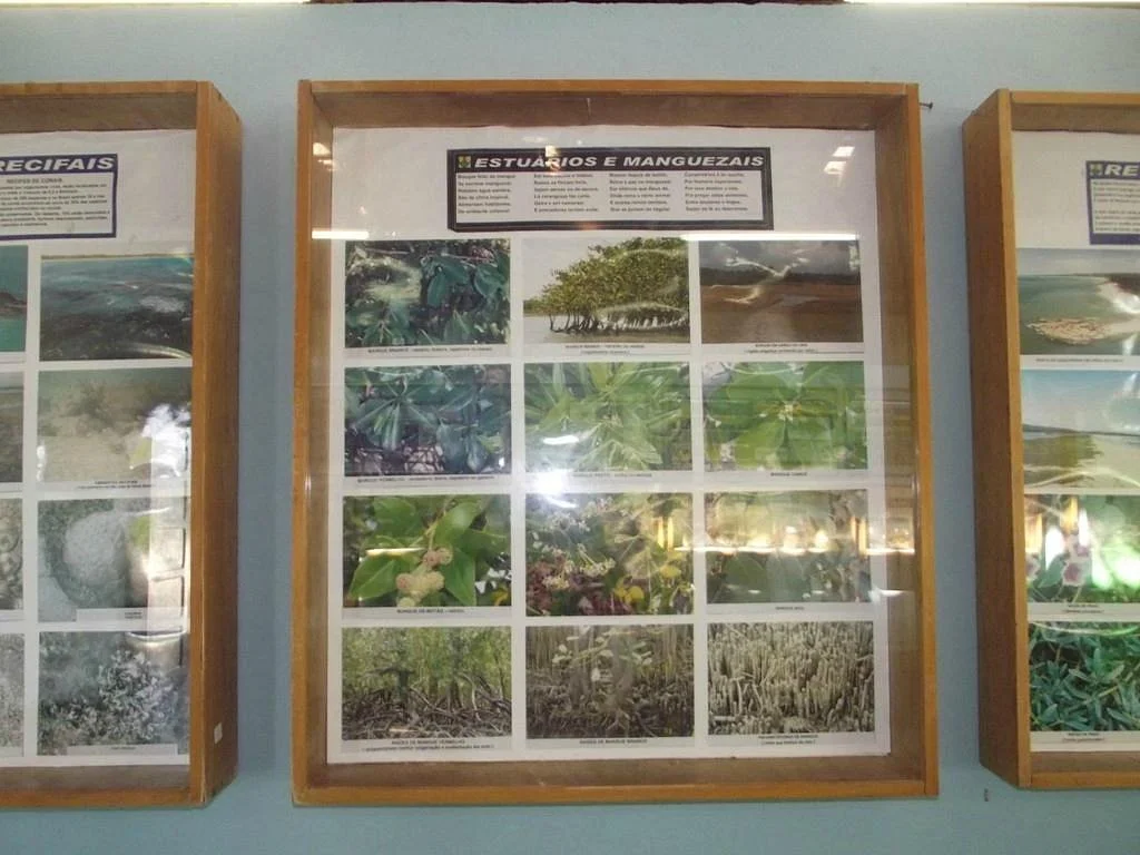 Una Museum