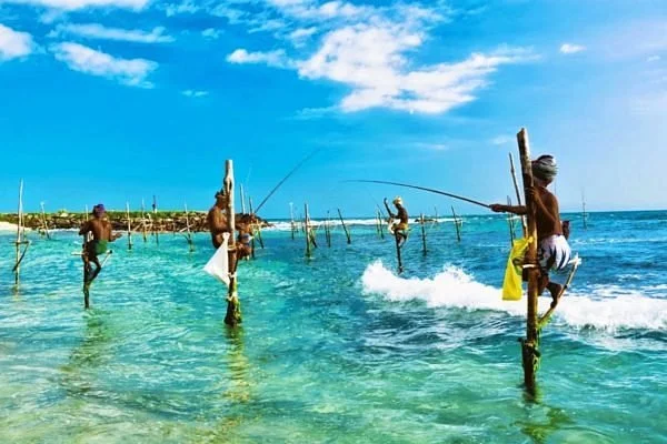 Dhanusha Tours and Travels