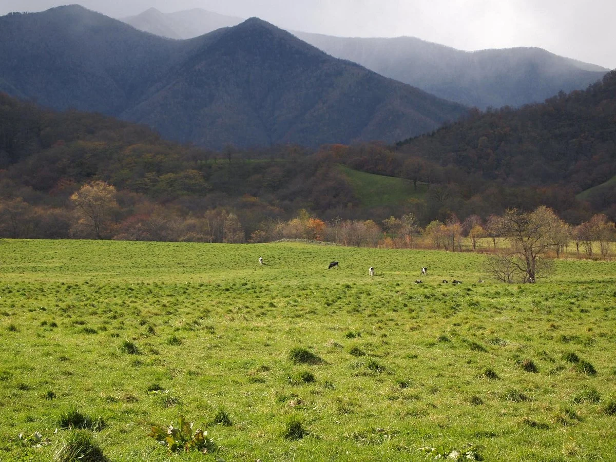 Yachiyo Farm