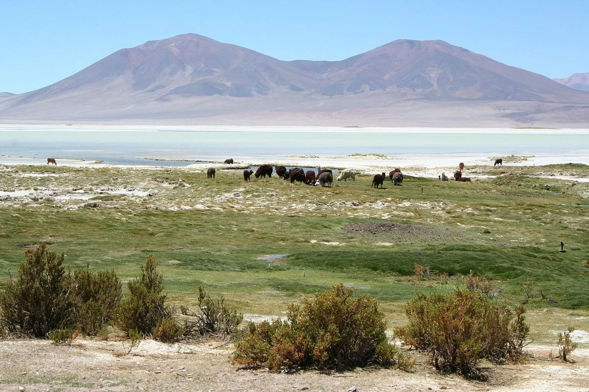 Pan-American Highway (Ruta 5)