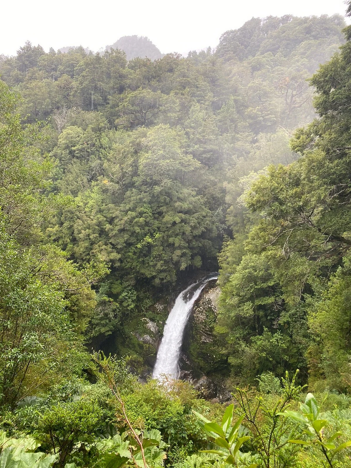 Sendero Padre Garcia