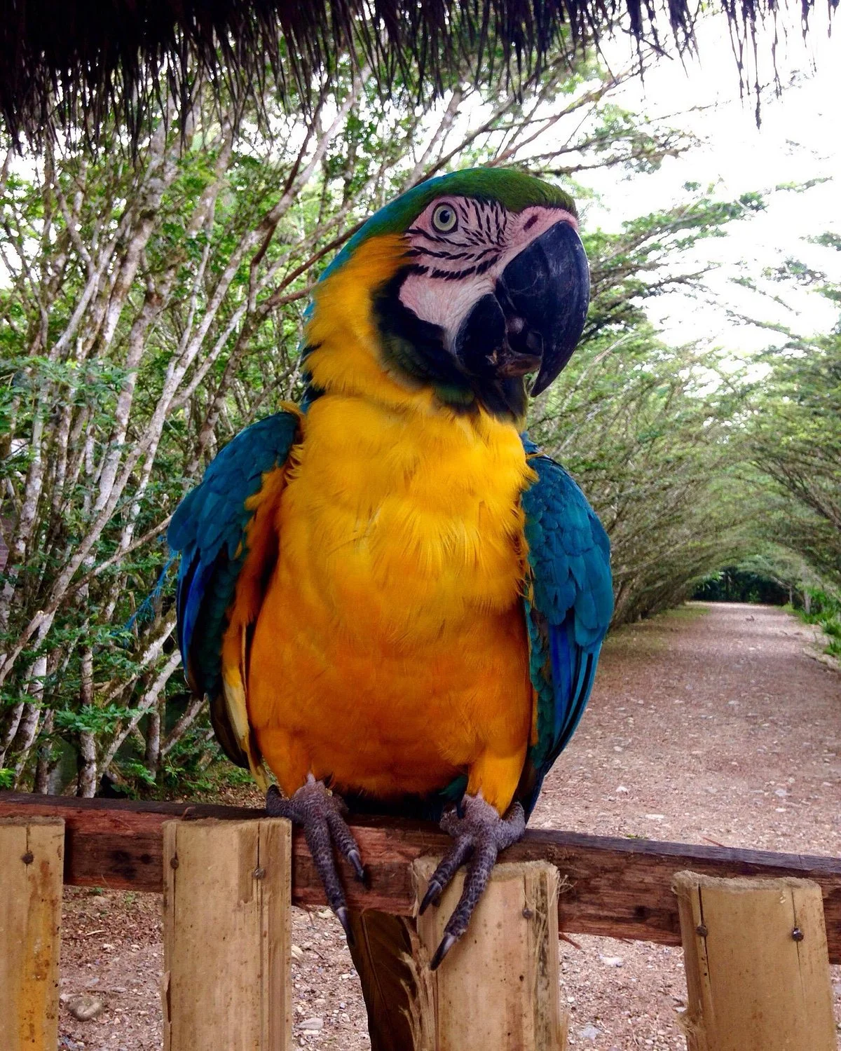 Zoo El Arca
