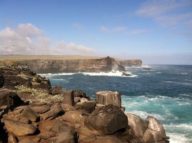 Punta Suarez