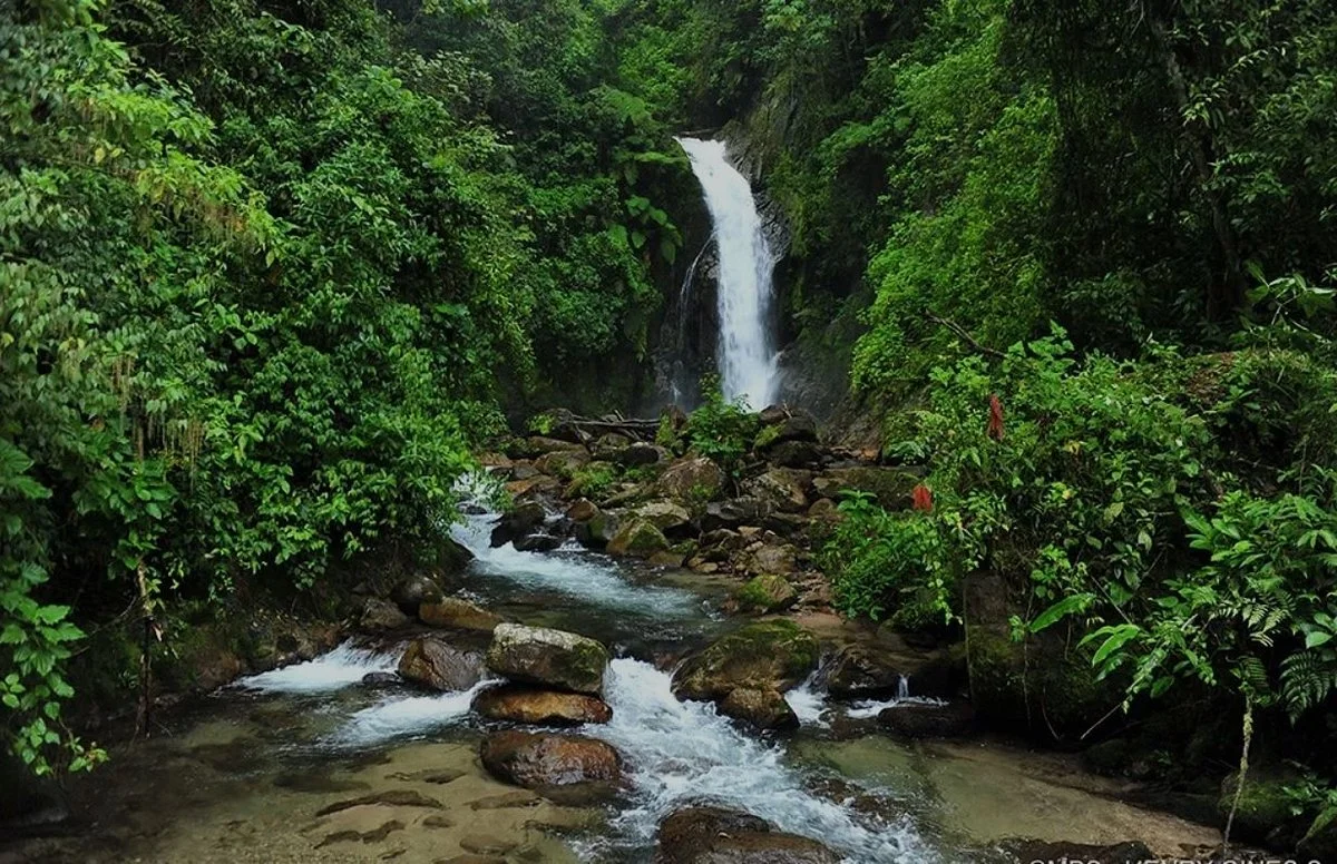 Catarata Gallito de las Rocas