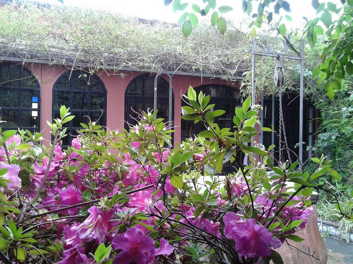 Museo Regional Francisco Mazzoni