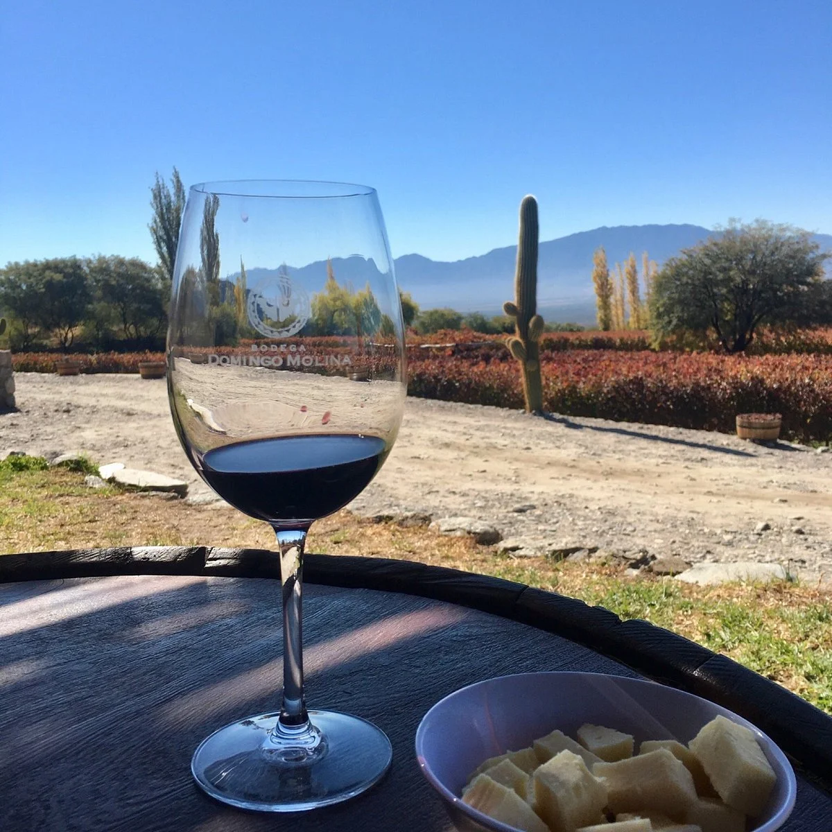 Bodega Domingo Molina