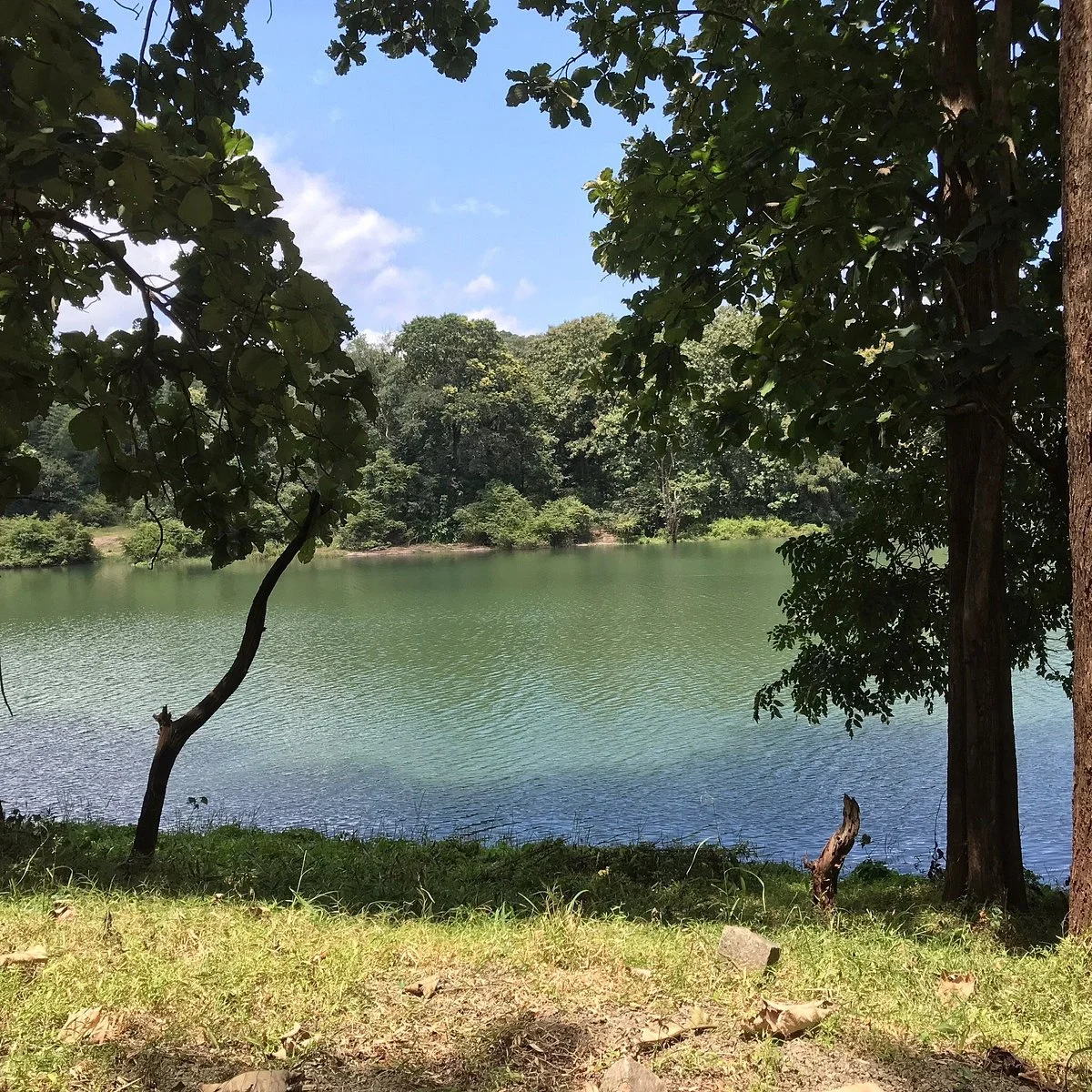 Parambikulam Tiger Reserve