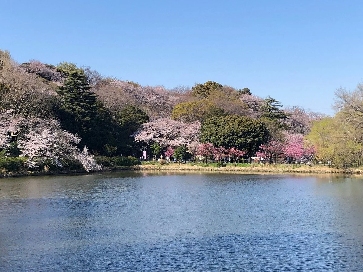 Mitsuike Park