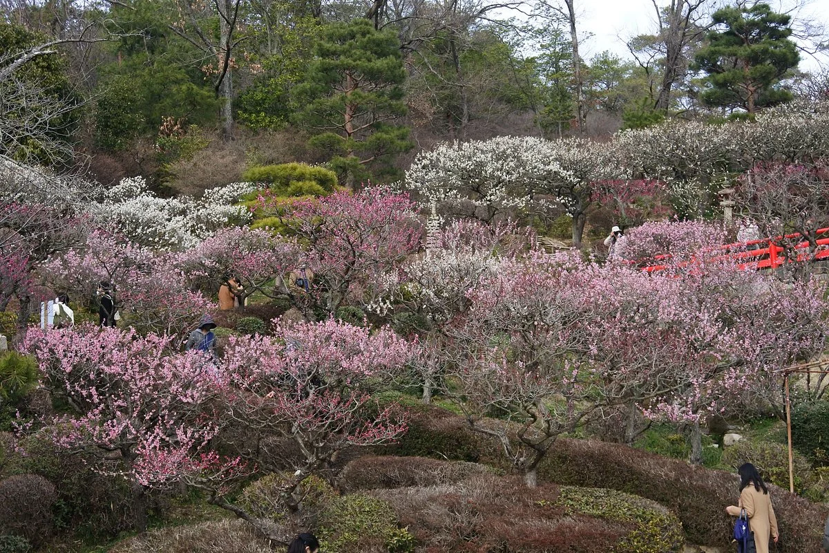Nakayama Kannon Park