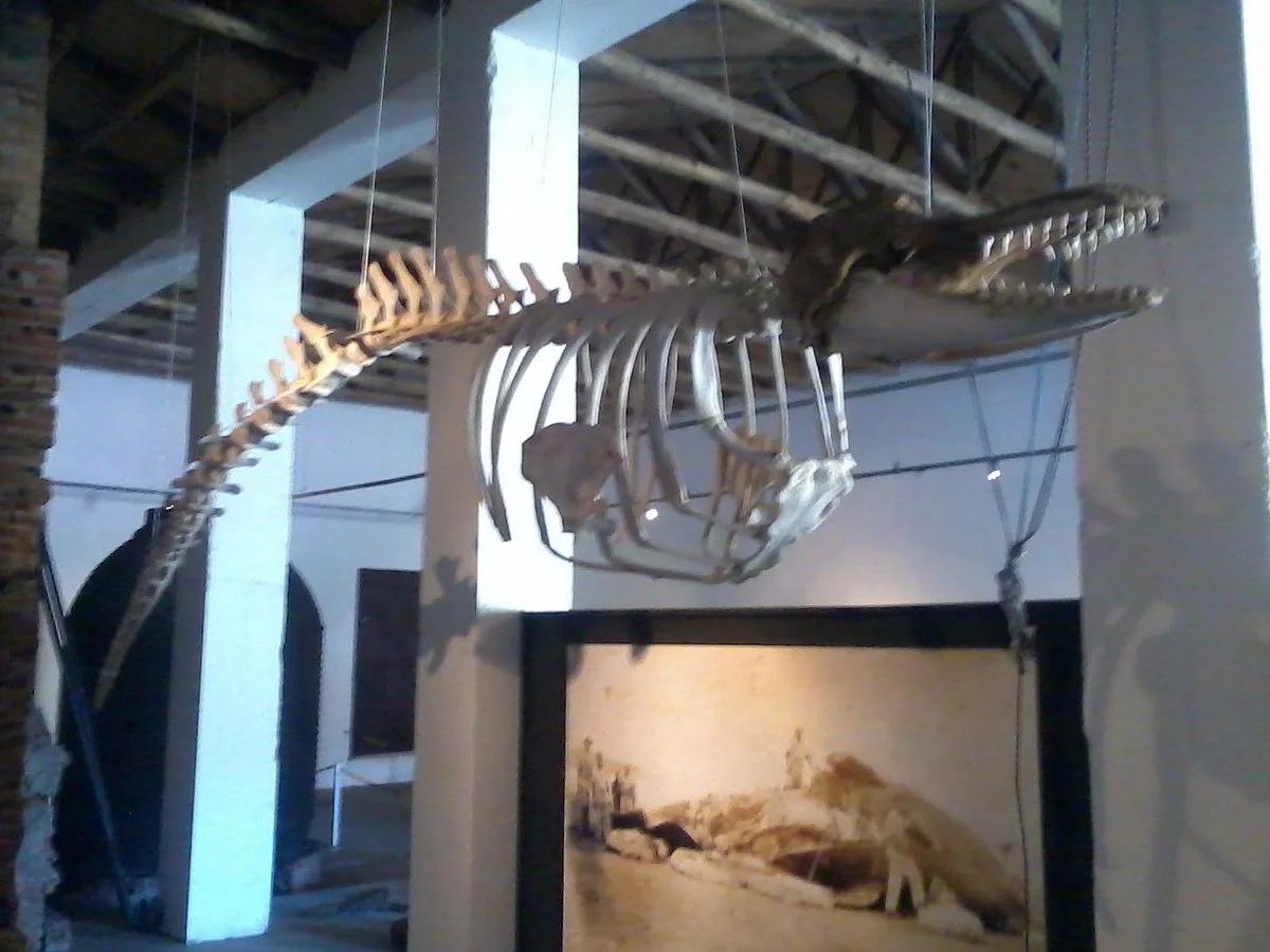 Museu da Baleia de Imbituba