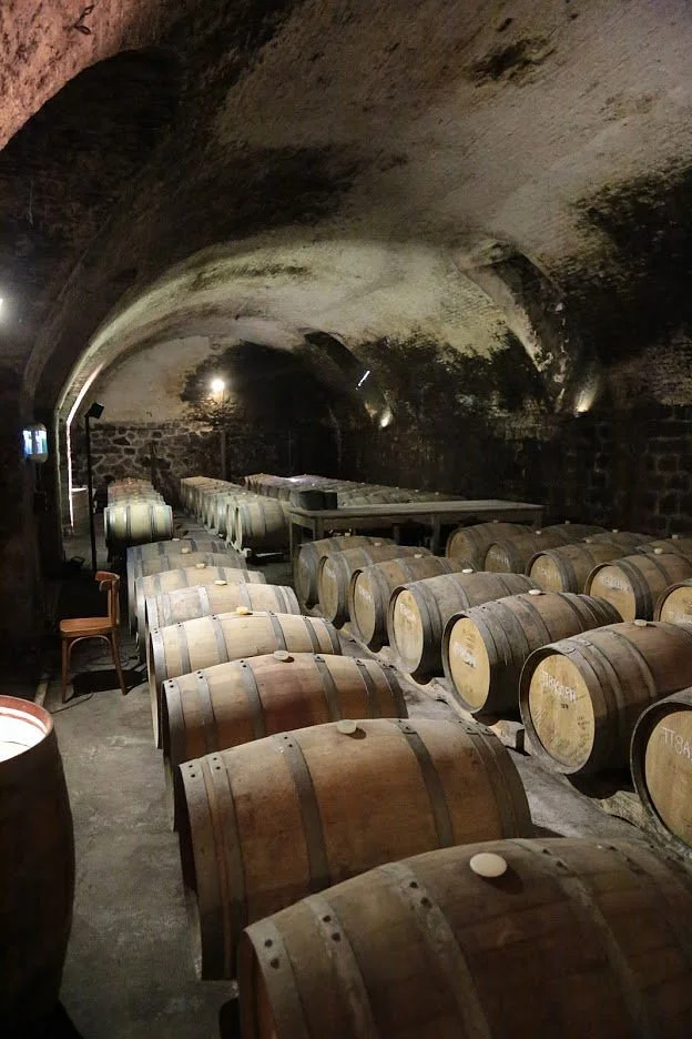 Vinicola Familia Deicas