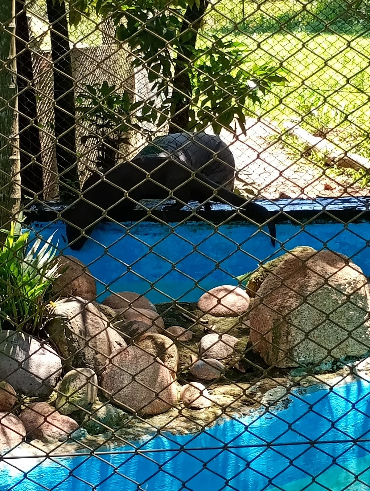 Mini Zoológico
