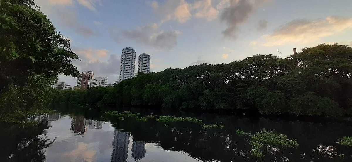Baoba Garden