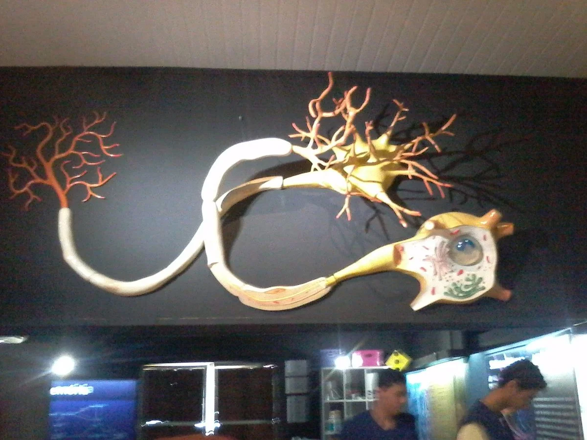 Interactive Science Space