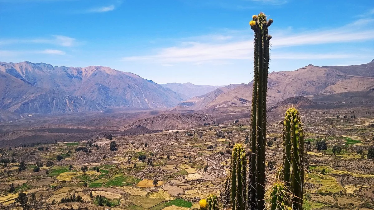 ANDAGUA - VALLE DE LOS VOLCANES