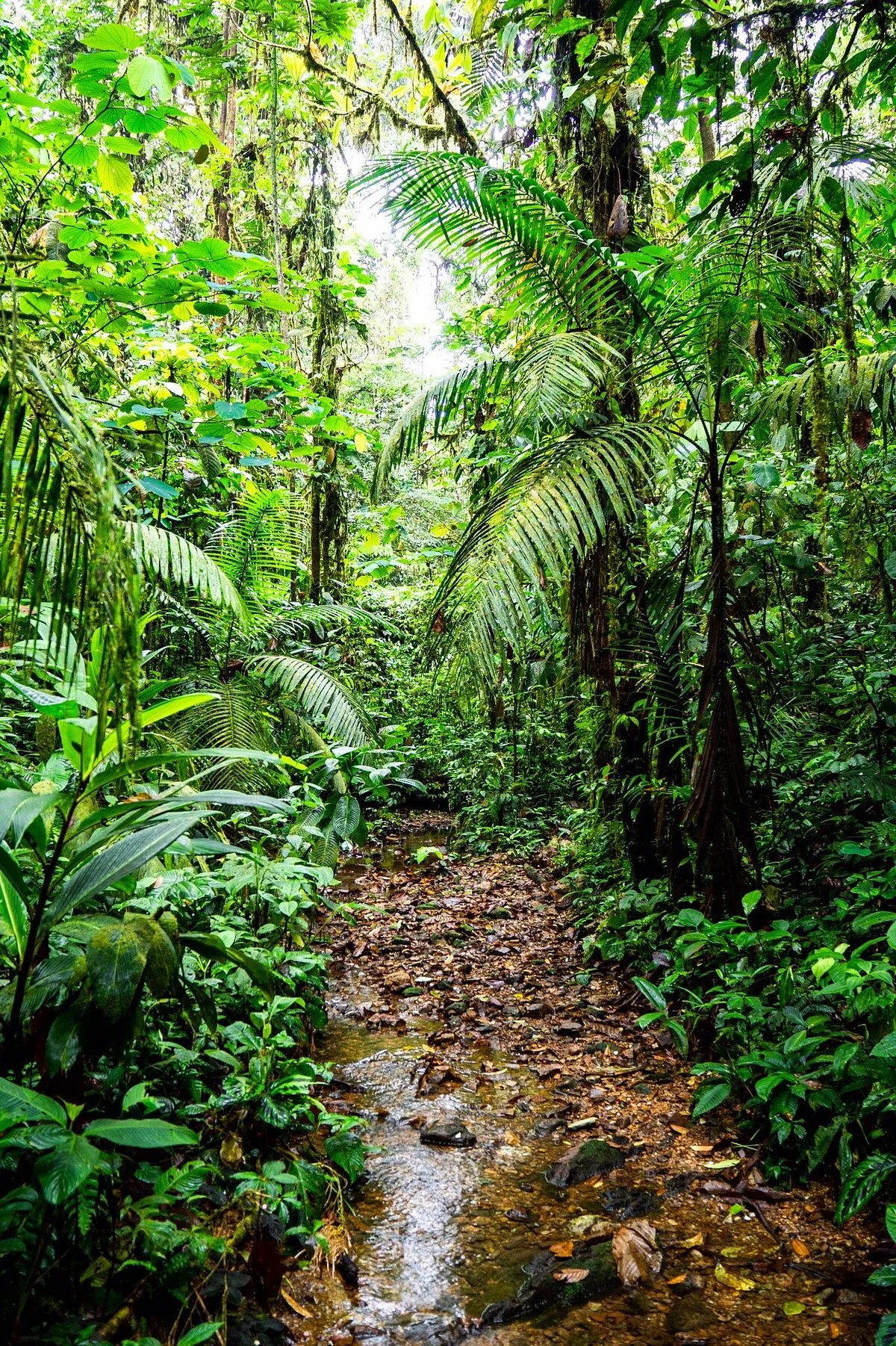 Itapoa Reserve