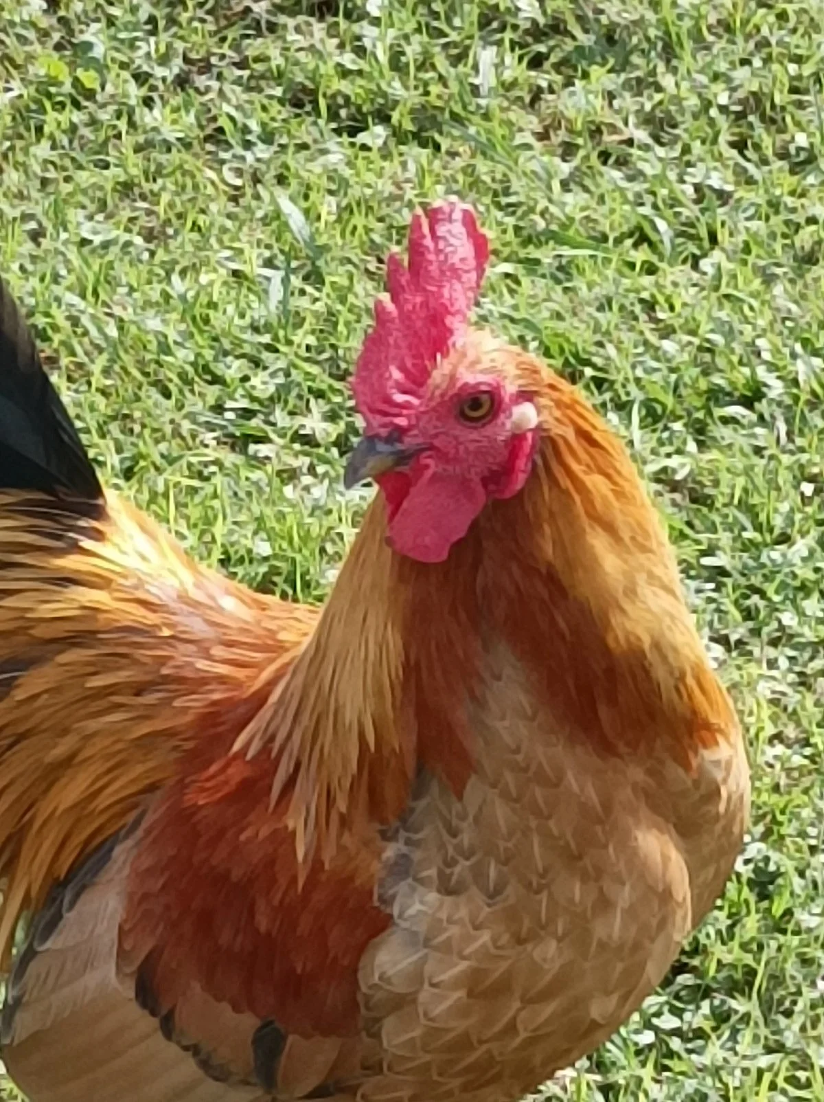 Complejo Granja La Matera