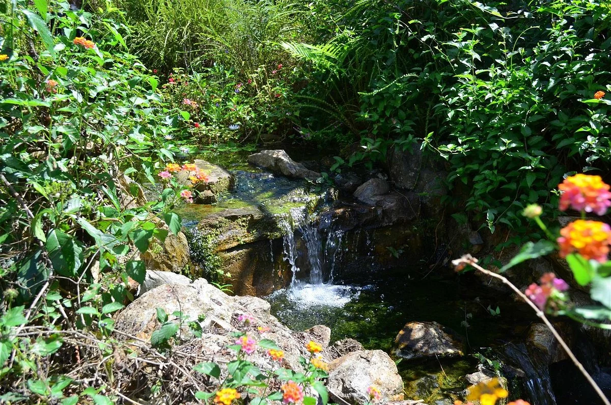 Neotropical Butterfly Park