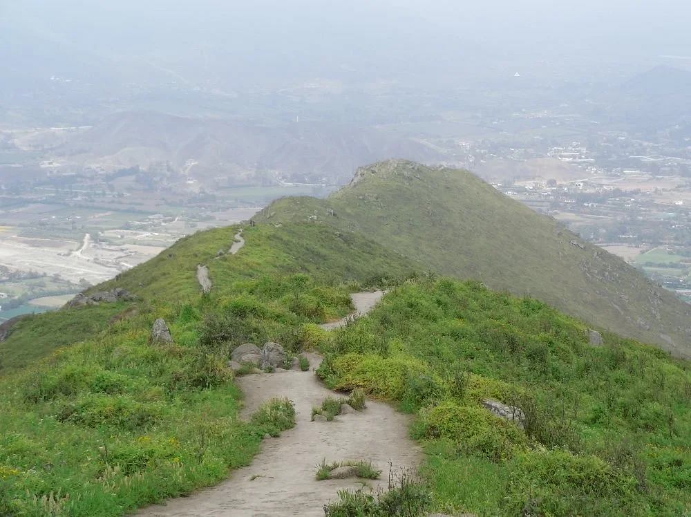 Lomas de Lucumo