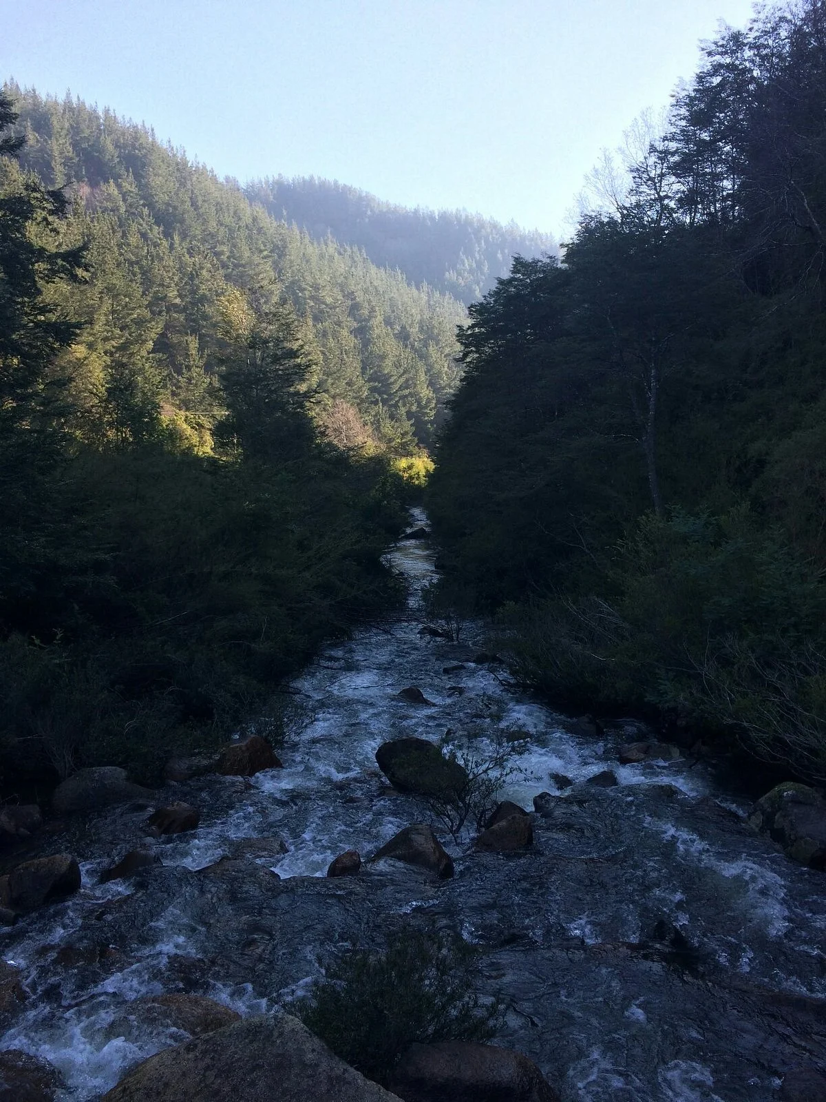 Reserva Nacional Los Ruiles