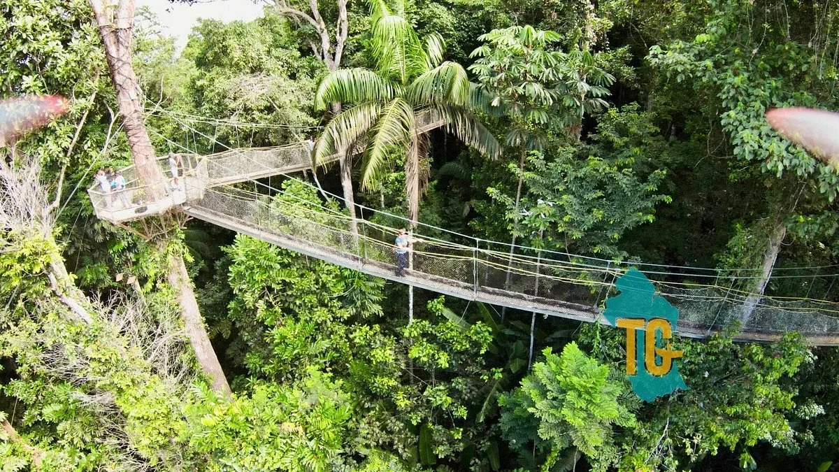 Iwokrama Canopy Walkway