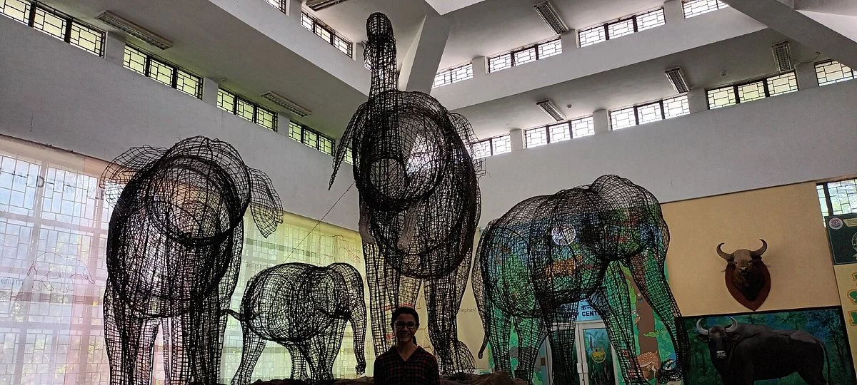 Regional Museum of Natural History