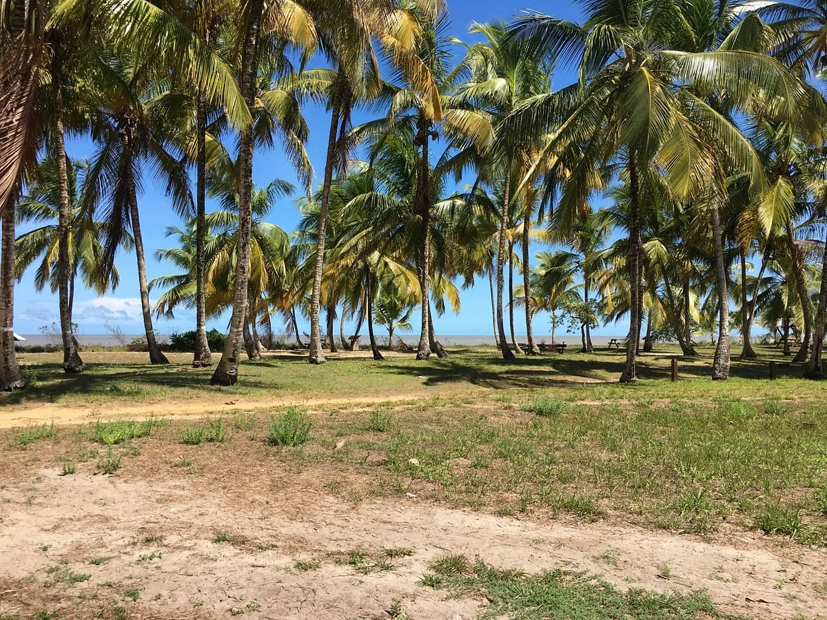 Plage des Hattes